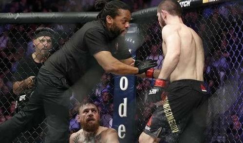 嘴炮与小鹰视频,精彩瞬间回顾