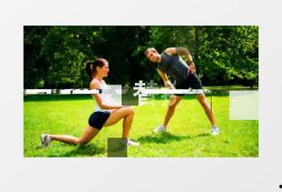 体育运动视频素材,捕捉激情四溢的体育瞬间