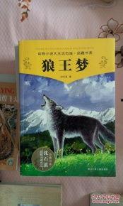 狼王梦视频,传承与挑战的狼族传奇