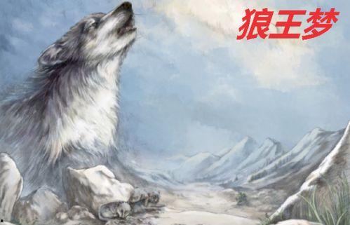 狼王梦视频,传承与挑战的狼族传奇