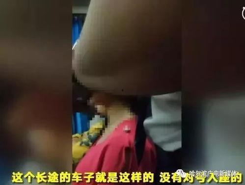 咋地啦视频,趣味横生的短视频盛宴