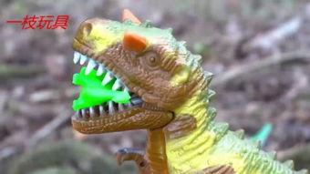 爆龙战队玩具视频