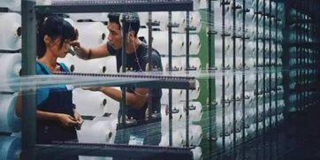 瓦城视频,探寻东南亚美食文化的魅力之旅